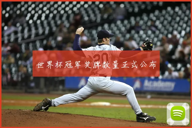 世界杯冠军奖牌数量正式公布