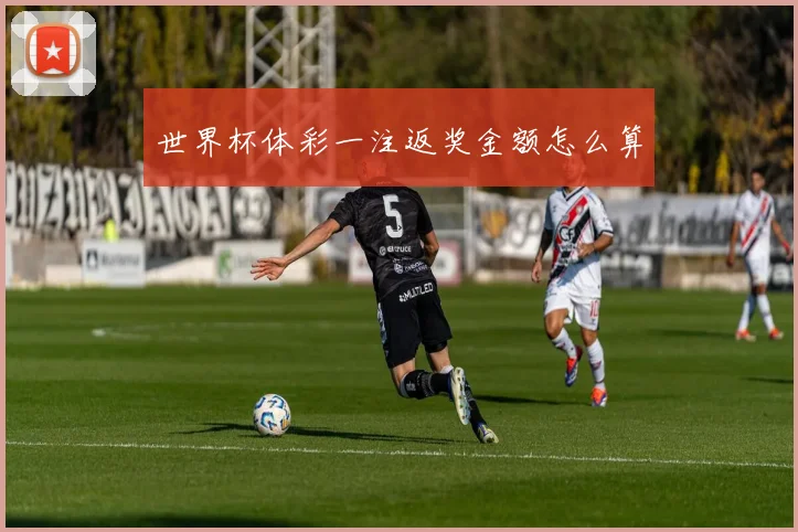 世界杯体彩一注返奖金额怎么算